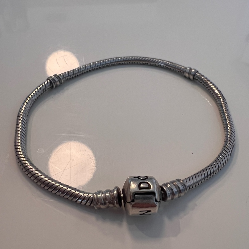 Pandora Silver Charm Bracelet